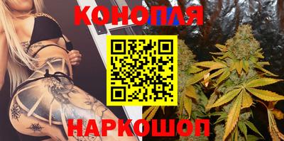 сатива Лесосибирск