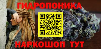 сатива Лесосибирск