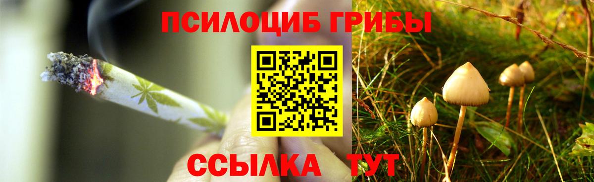 Ипатово  Галлюциногенные грибы Psilocybe  Вход с VPN  Псилоцибиновые грибы мухоморы 